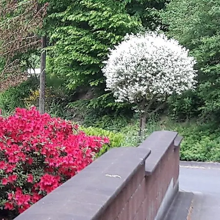 דירה Am Zeitenweg Windeck