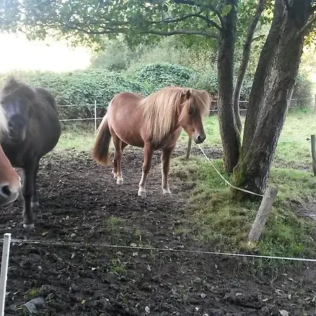 דירה Am Zeitenweg *