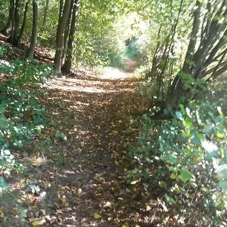 Am Zeitenweg