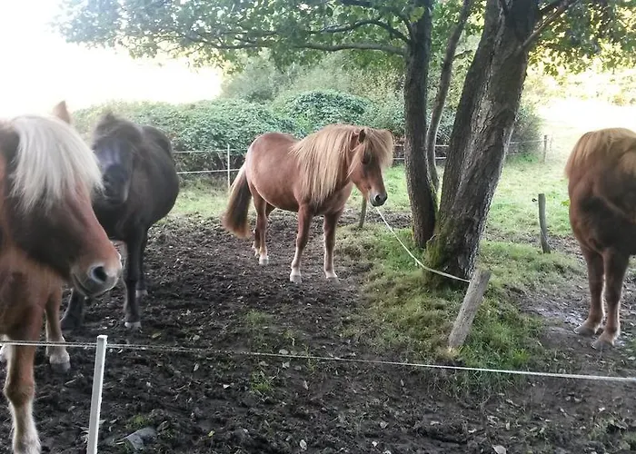 Appartement Am Zeitenweg *